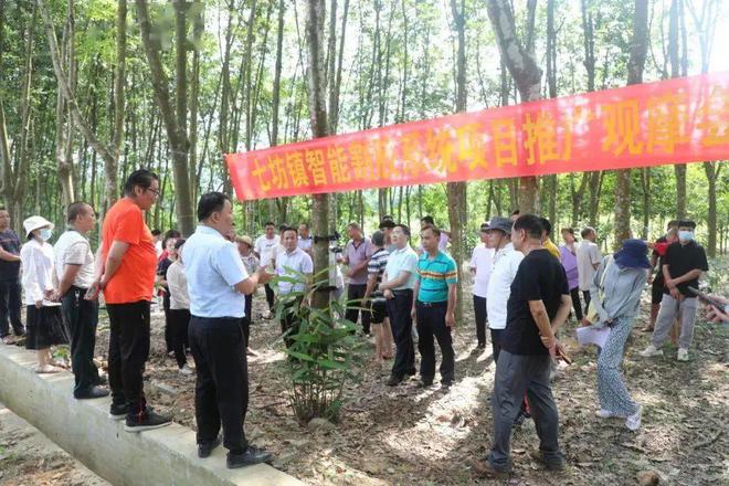 k8凯发机器设备自动橡胶机器设备以技术创新推动乡村振兴 全自